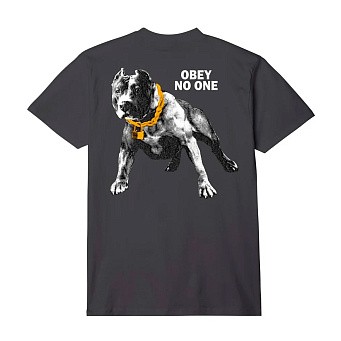 Футболка Obey No One T-shirt