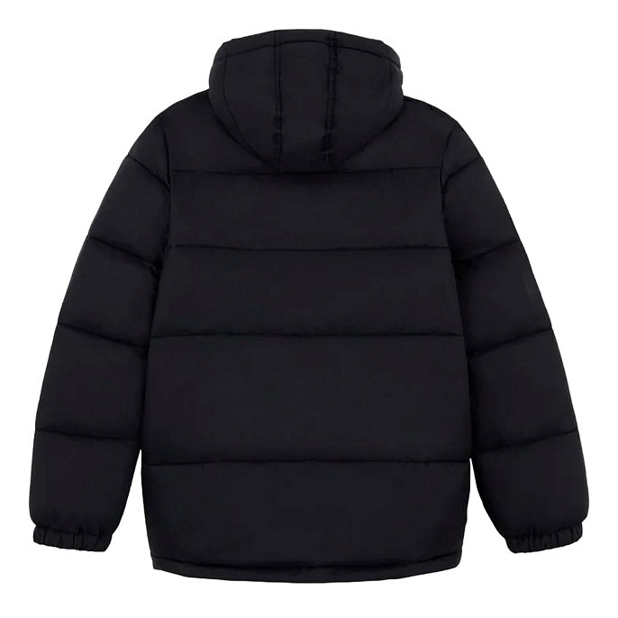 Пуховик Dickies Waldenburg Hooded Puffer Jacket Black