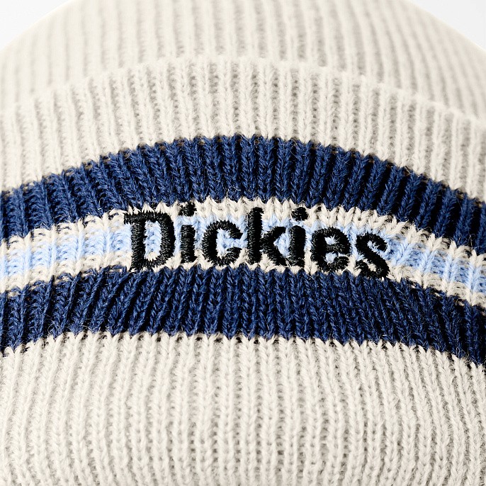 Шапка Dickies Skateboarding Tom Knox Beanie TK Fog